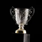Climate leadership award