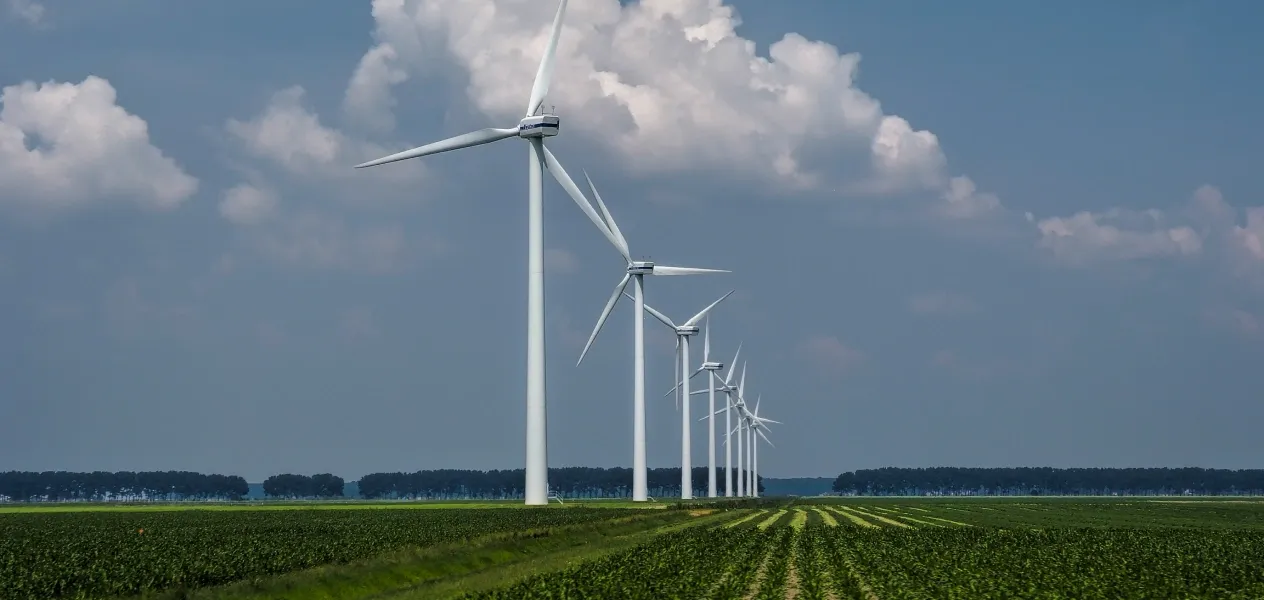 North sea wind array